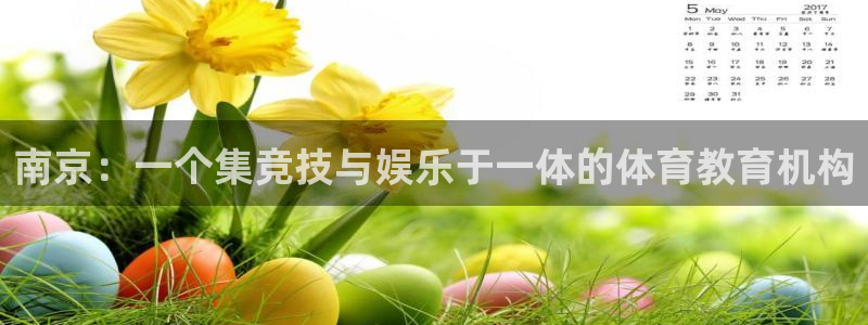 米兰体育官网下载平台注册流程视频:南京:一个集竞技与娱乐于一